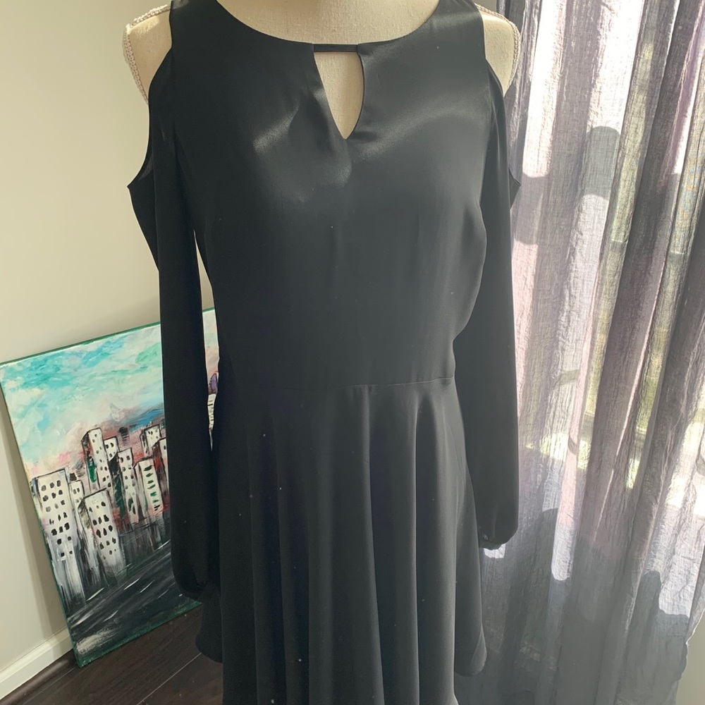 Express Dress - Picture 2 of 5
